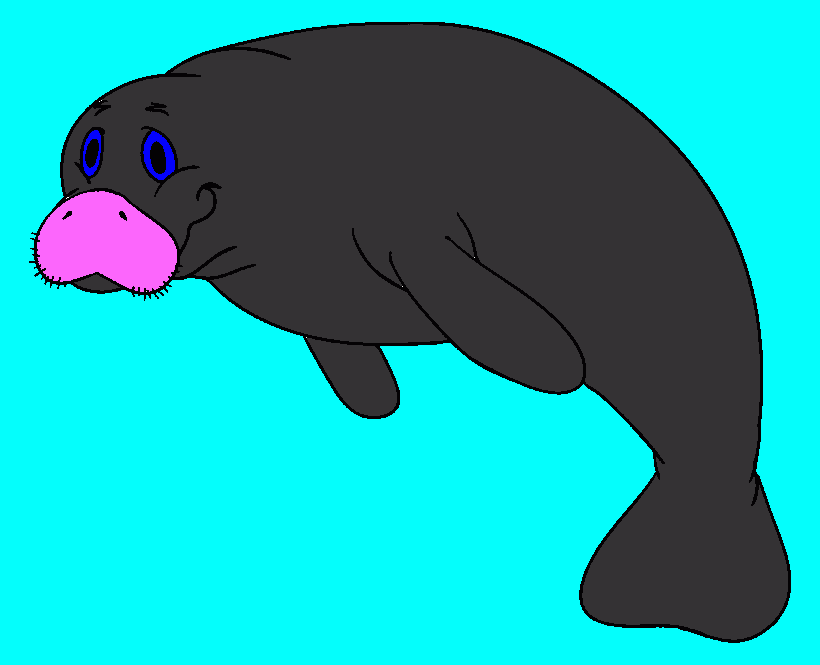 Foquinha para colorir e imprimir