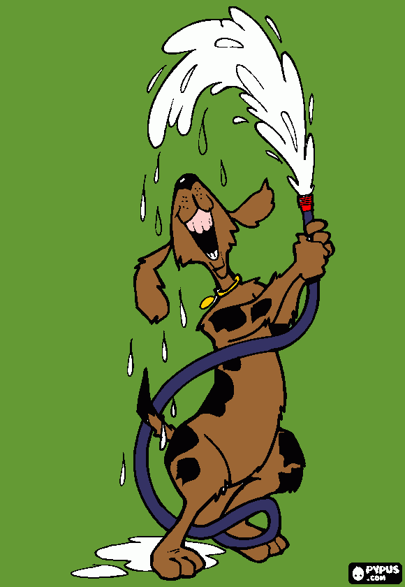 Foto Vinicius para colorir e imprimir