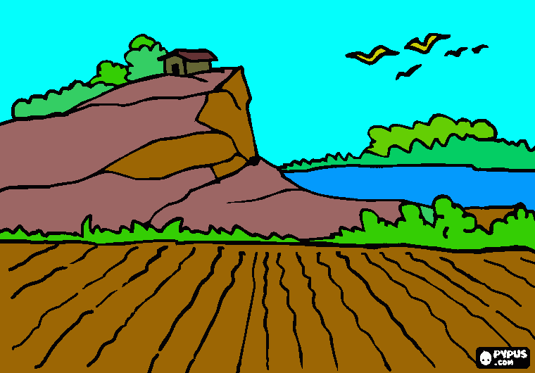 fundo da grama para colorir e imprimir