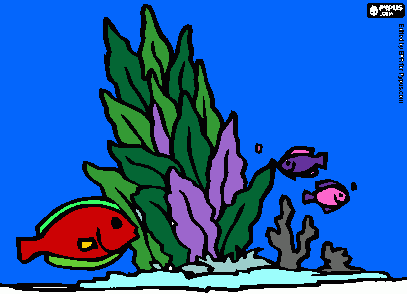 Fundo do mar para colorir e imprimir