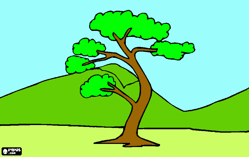 fundo para colorir e imprimir