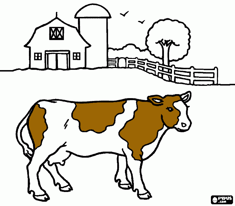 gado para colorir e imprimir