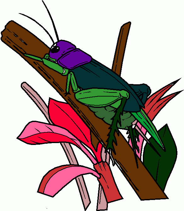 gafanhoto do chapeu roxo para colorir e imprimir