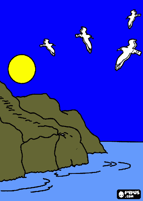 gaivota para colorir e imprimir