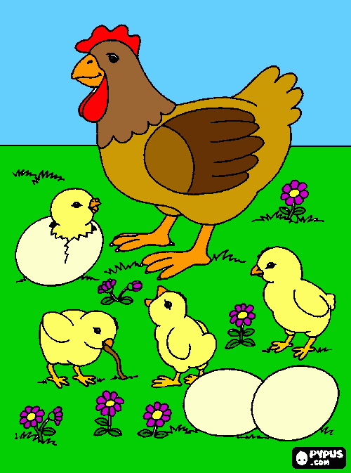 galinha e seus filhotes para colorir e imprimir