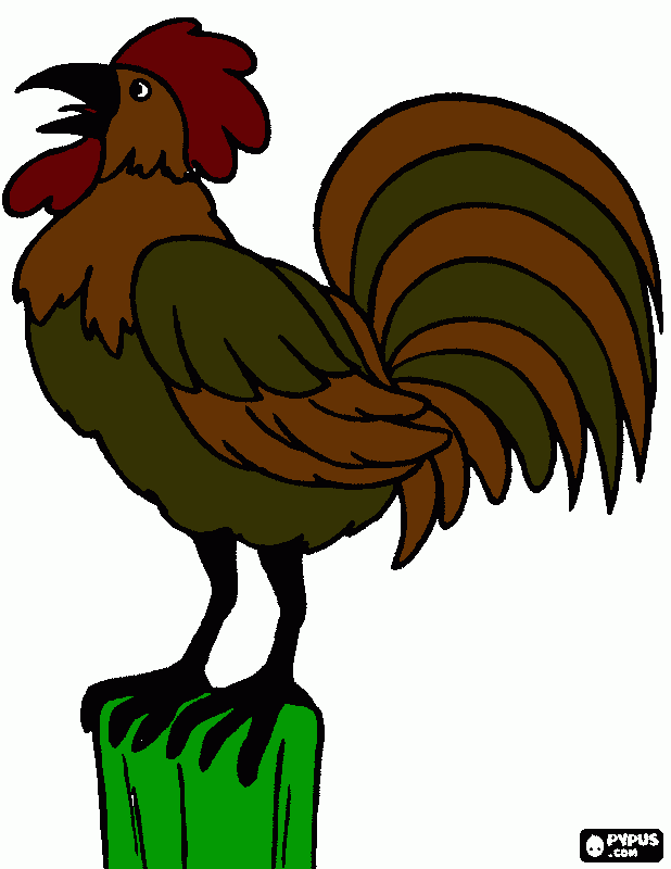 galo doido para colorir e imprimir