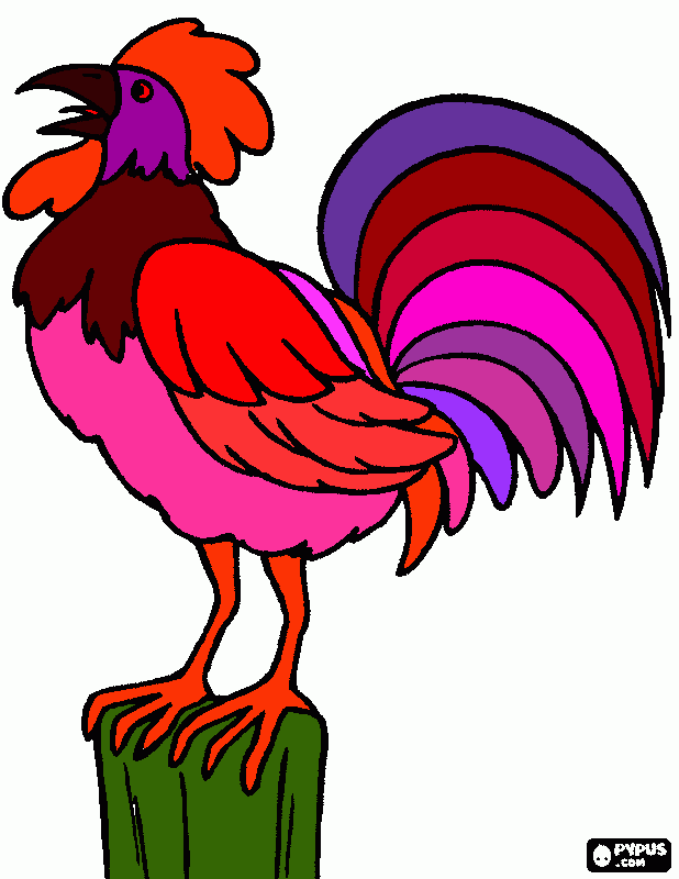 galo gay para colorir e imprimir