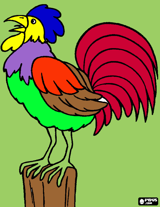 galo lindo da  Duda para colorir e imprimir