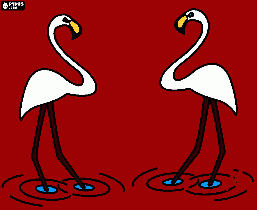 garças brancas para colorir e imprimir