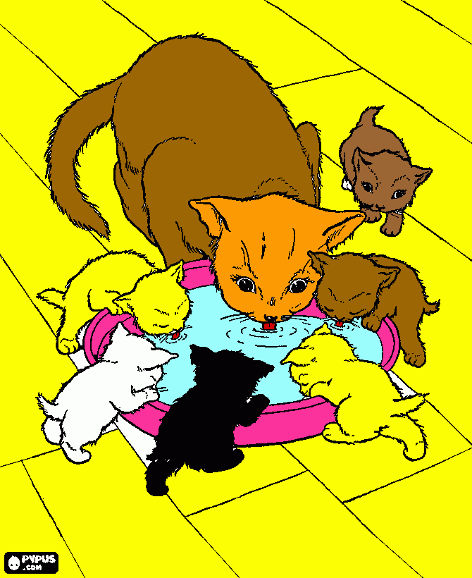 gatinho  minhau minhau para colorir e imprimir