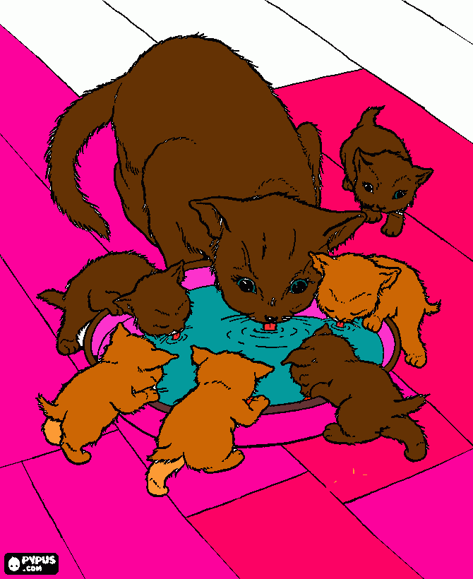gatinhos a beber leitinho para colorir e imprimir