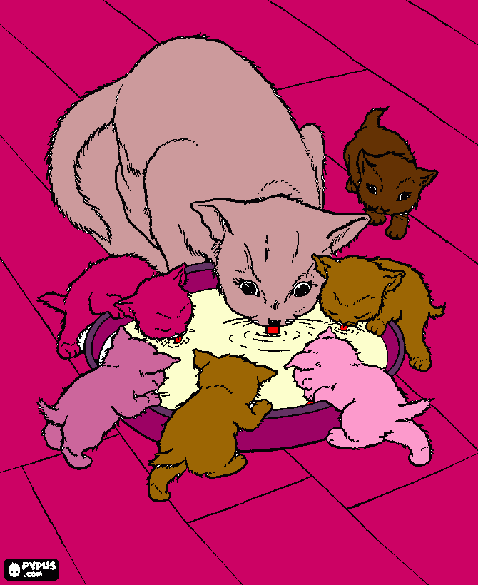 gatinhos fofinhos para colorir e imprimir