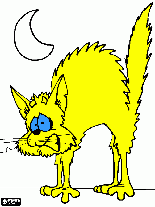 GATO ACUADO para colorir e imprimir