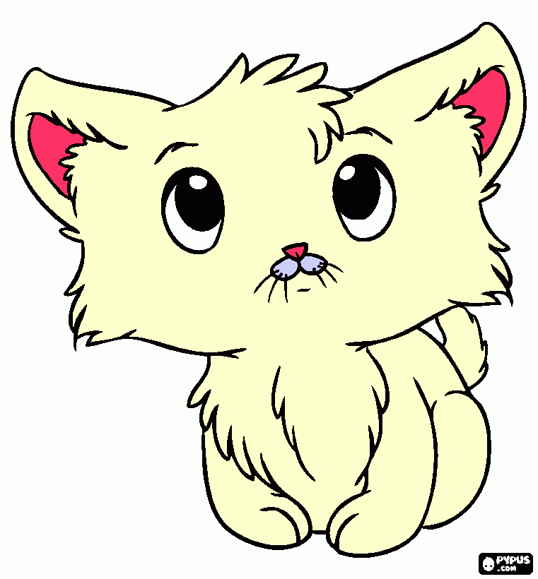 gato branco para colorir e imprimir