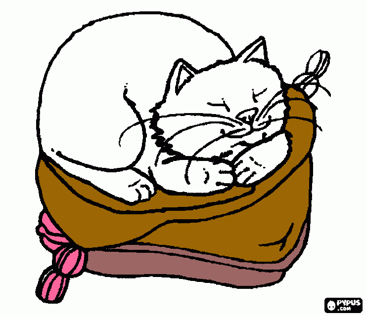 GATO DORMINDO para colorir e imprimir