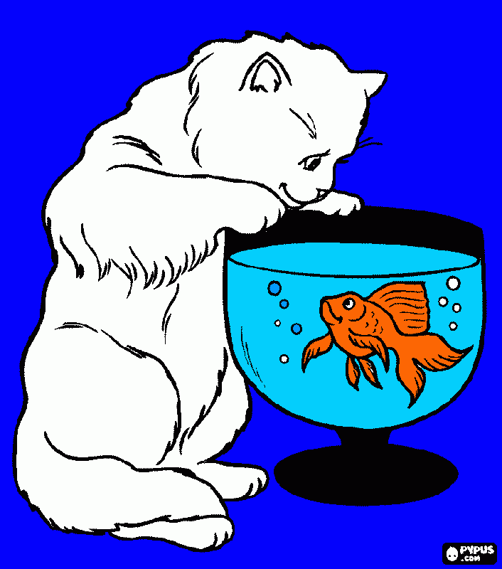 Gato mirando um peixe nadando em um aquário para colorir e imprimir