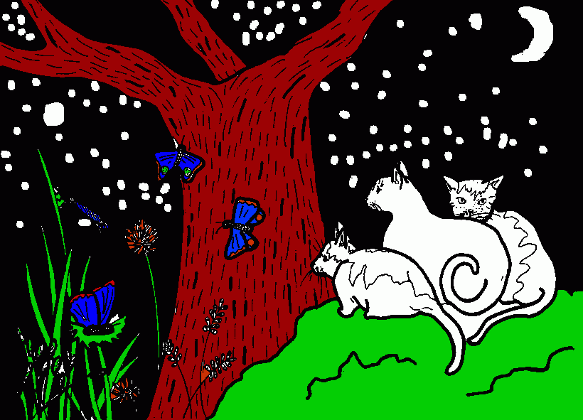 gatos olhando as estrela para colorir e imprimir