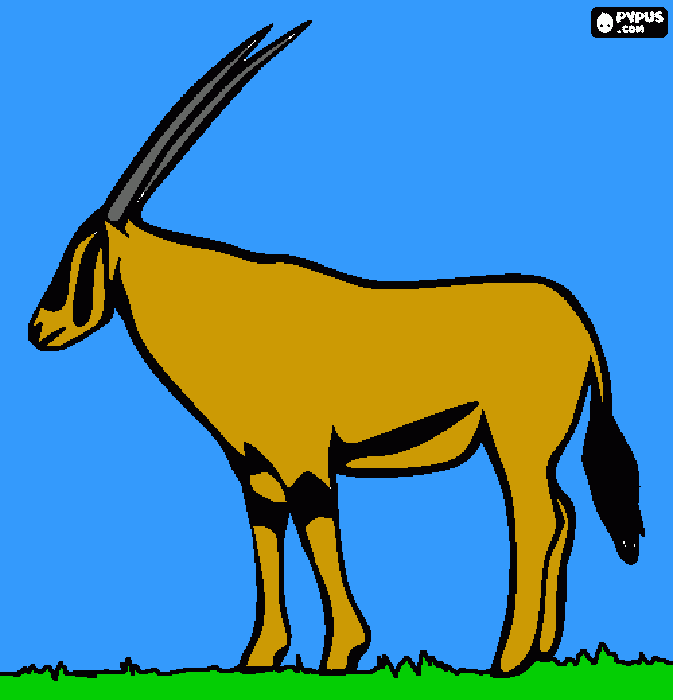 gazela de grant para colorir e imprimir