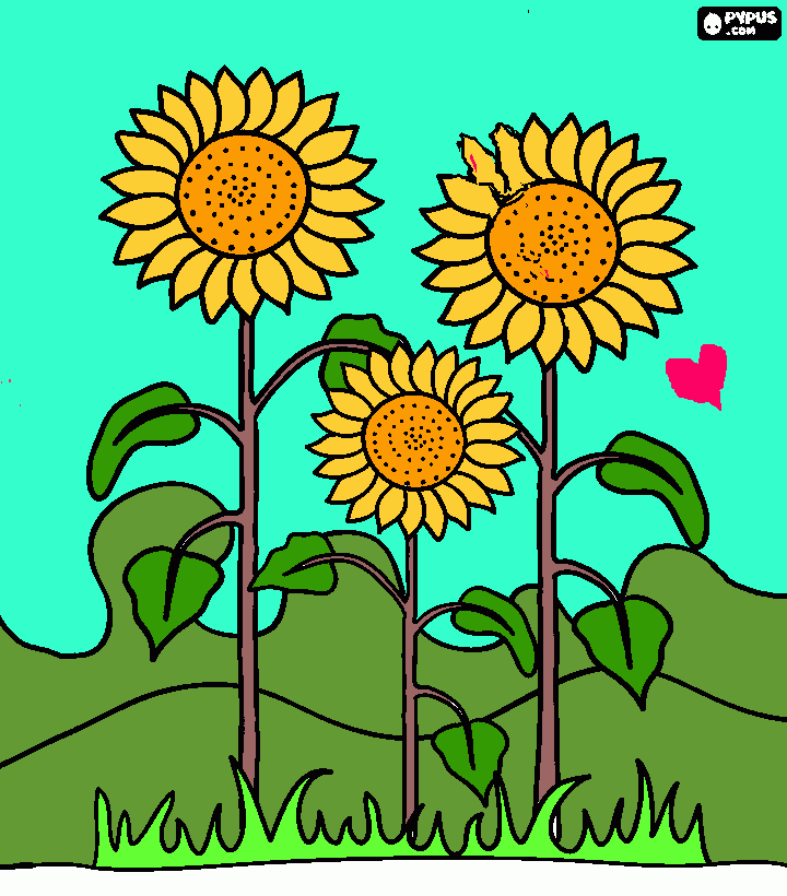 girasol para colorir e imprimir