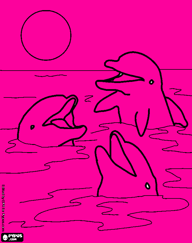 golfinhos rosas para colorir e imprimir