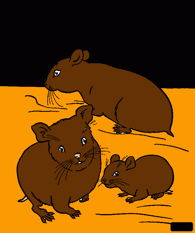 Desenho De Imagem Para Colorir Um Esboço Hamster Vetor PNG , Desenho De  Asa, Desenho De Anel, Desenho De Hamster Imagem PNG e Vetor Para Download  Gratuito