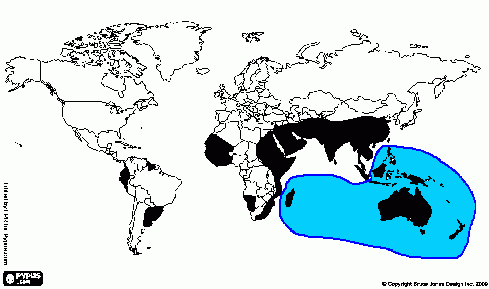 imperio cruxita (australia) para colorir e imprimir