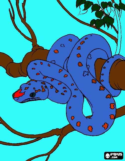 jiboia para colorir e imprimir