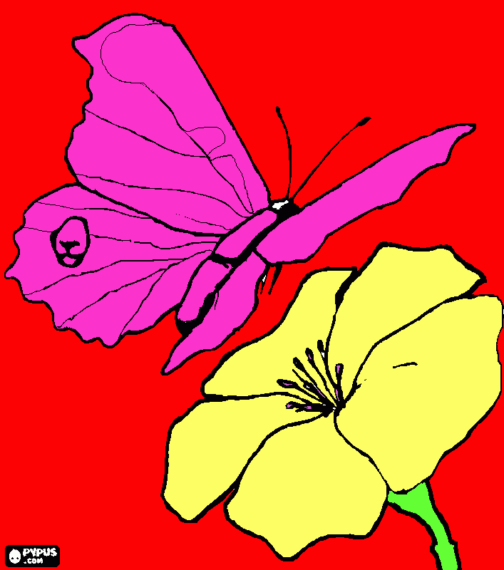 jogos de colorir borboletas do jardim para colorir e imprimir