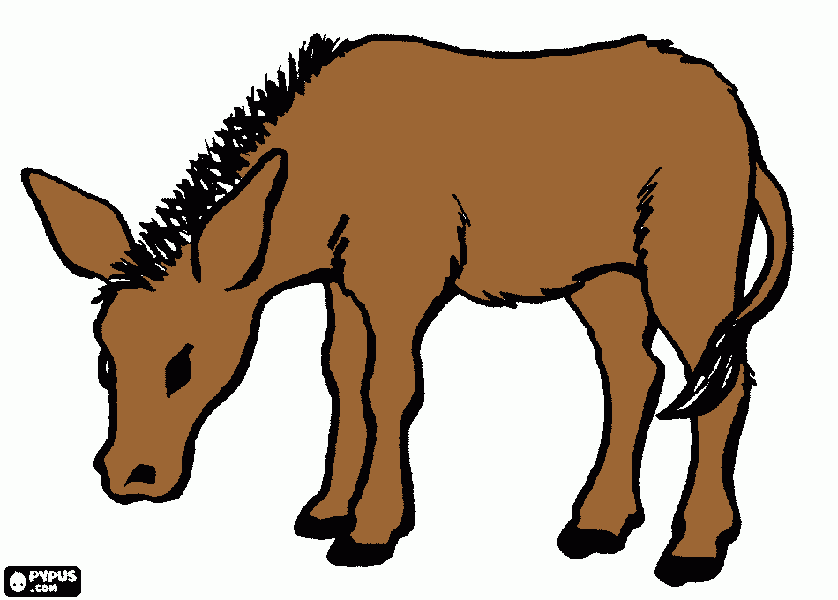 jumento para colorir e imprimir