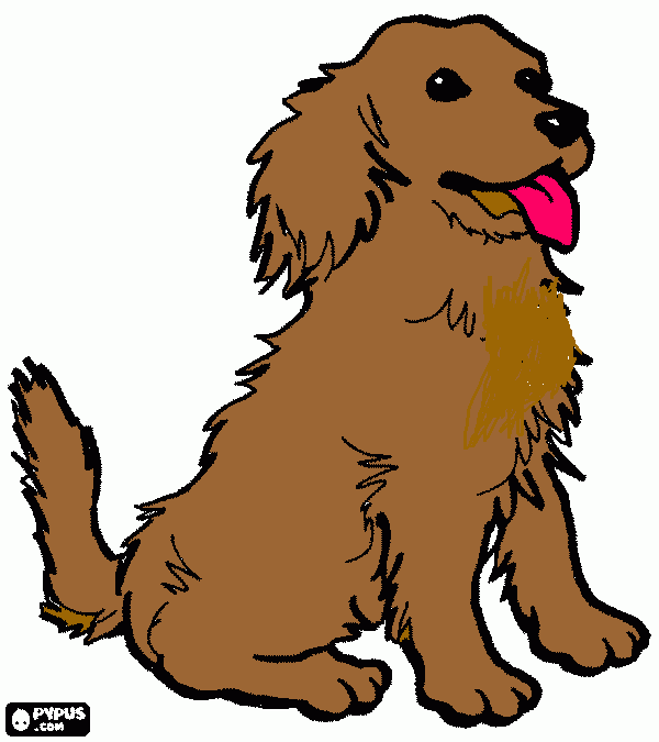 Kikas para colorir e imprimir