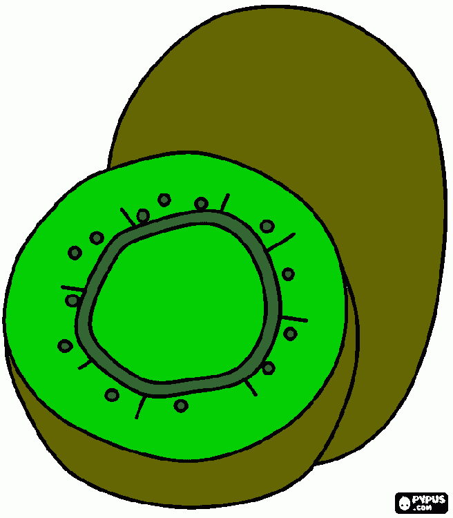 kiwi para colorir e imprimir