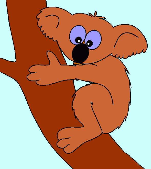 Koala para colorir e imprimir