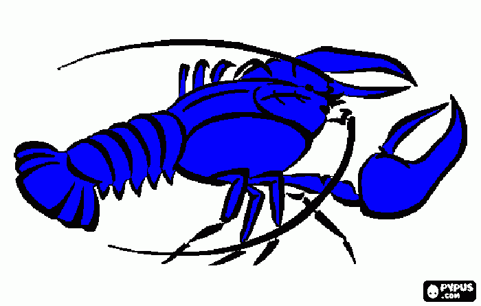 lagosta para colorir e imprimir