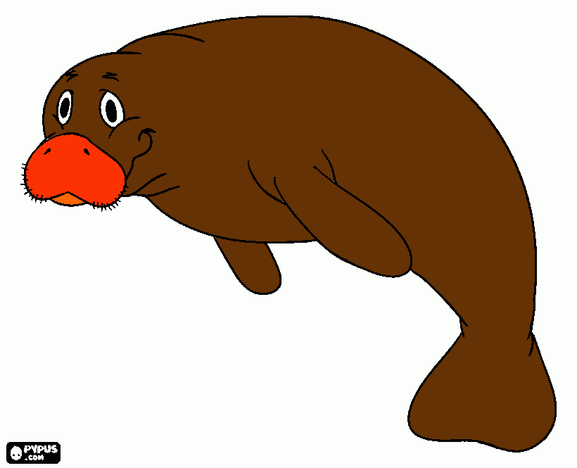 leao marinho para colorir e imprimir