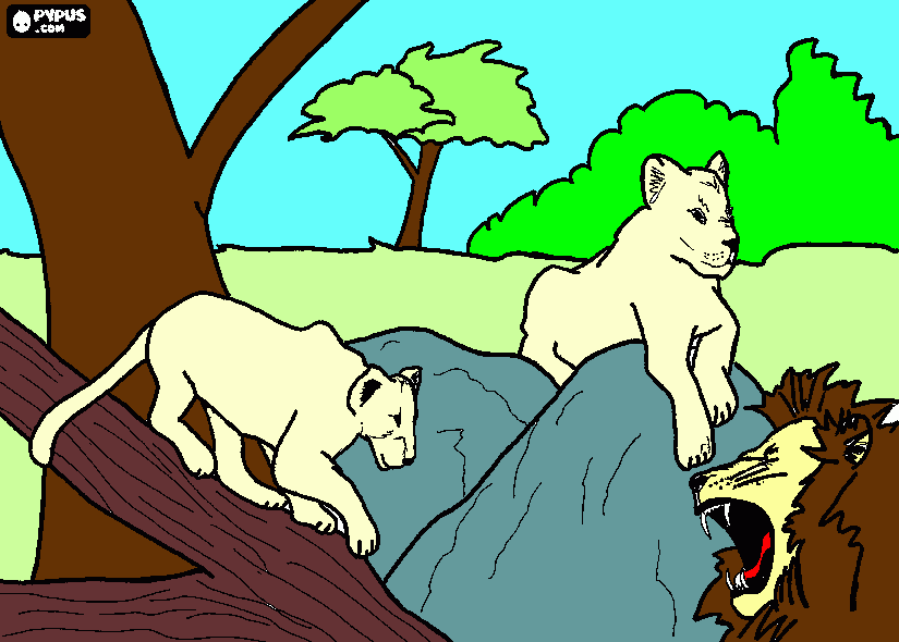 leoas para colorir e imprimir