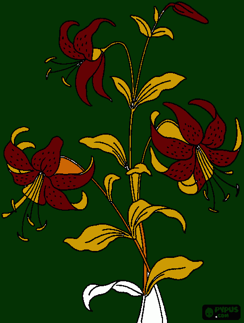 LINDAS FLORES UM LIRIO DO VALES para colorir e imprimir