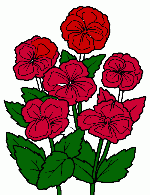 lindas rosa para colorir e imprimir