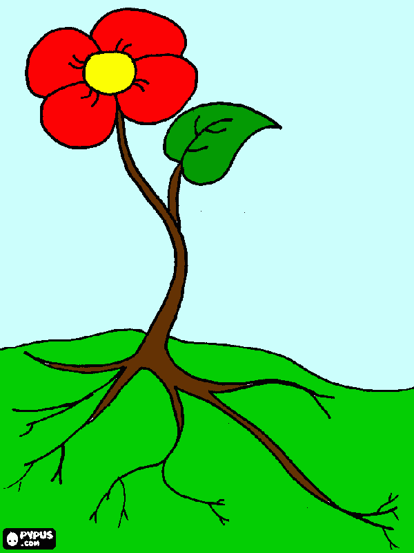 mais florzinhas para colorir e imprimir