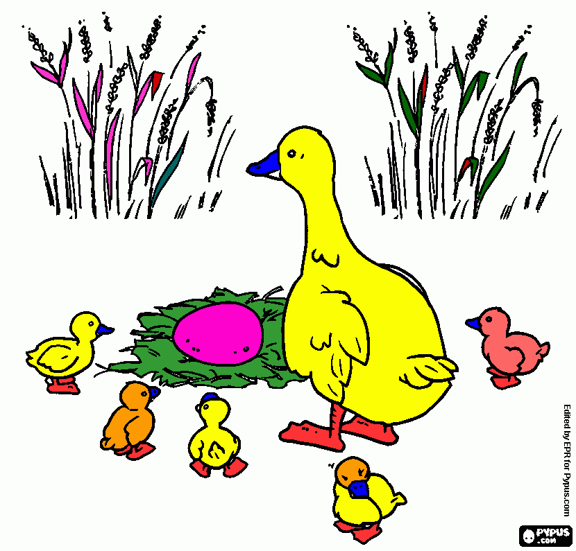 mama pata e os filhotes para colorir e imprimir