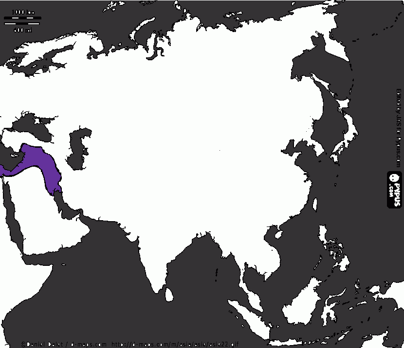 Mapa do territorio do Imperio Assirio em comparação com a Ásia para colorir e imprimir