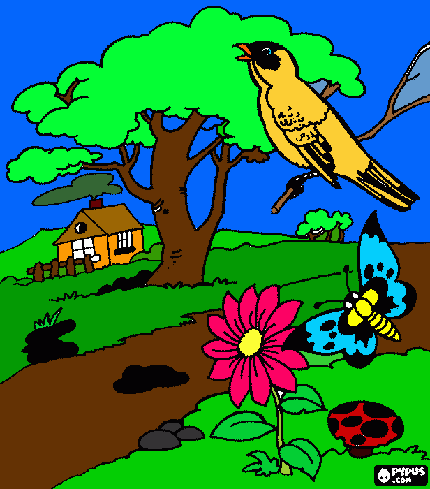 meio ambiente para colorir e imprimir