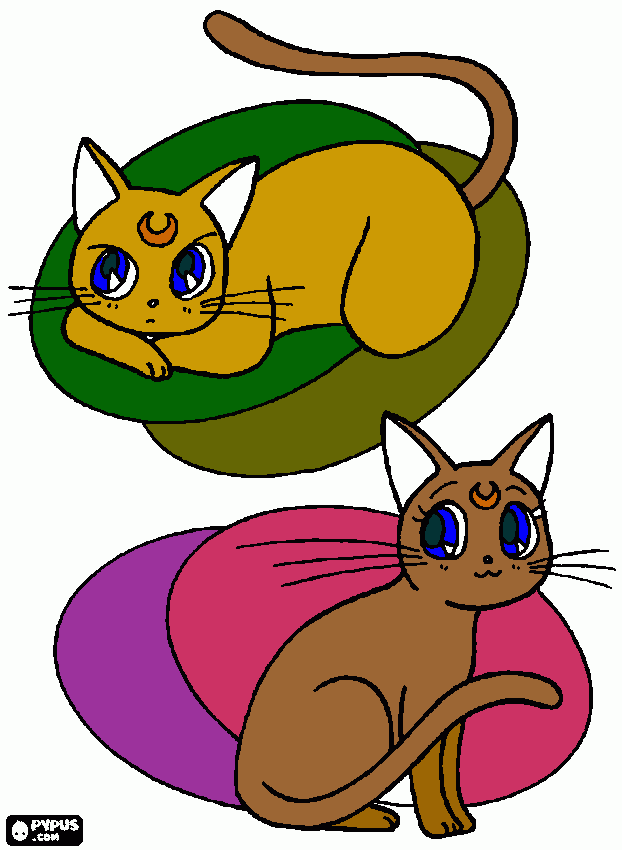 Miau Miau para colorir e imprimir