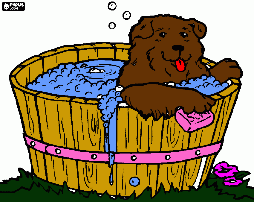 não se esquesa de tomar banho para colorir e imprimir