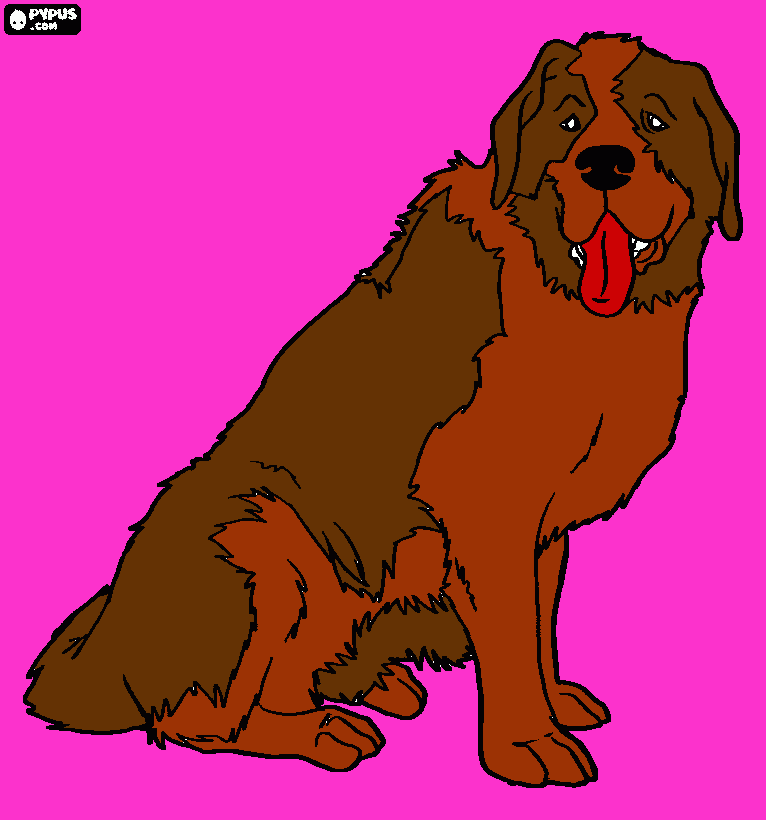 O cachorro  bold para colorir e imprimir