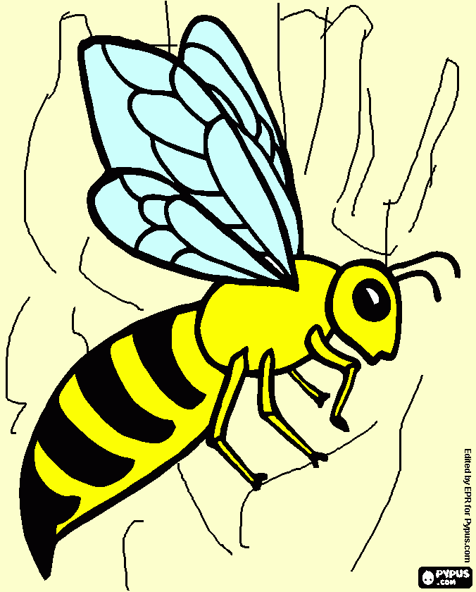 o desenho é uma abelha os riscos que tem atras é a mão da pessoa para colorir e imprimir