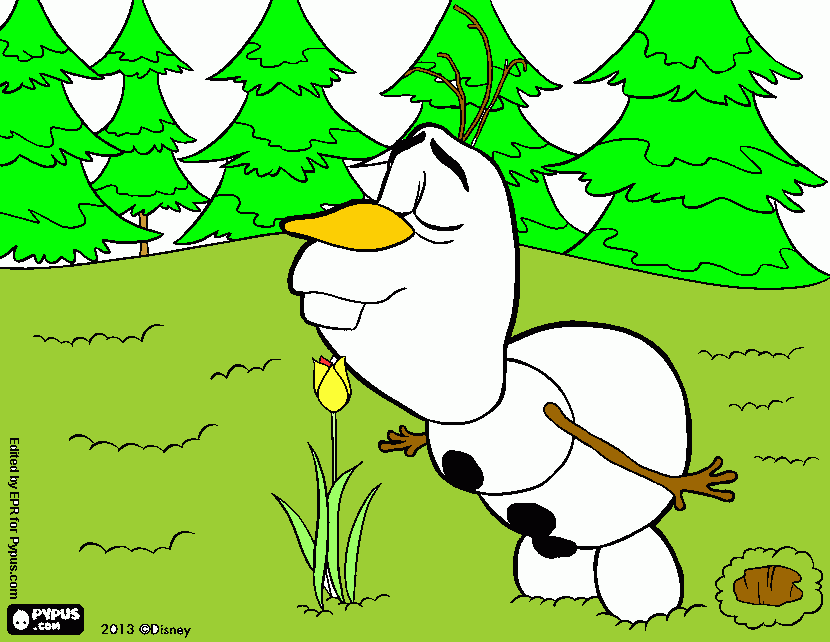 o frozen para colorir e imprimir