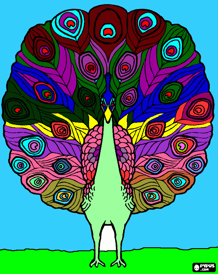 O pavão mais bonito do mundo q se chama TORI 2 para colorir e imprimir