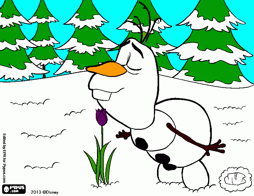 Olaf a cheirar uma flor. para colorir e imprimir