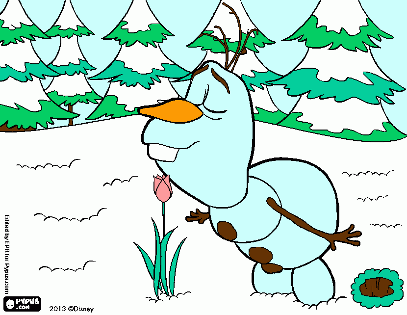 Olaf cheirando uma flor. para colorir e imprimir
