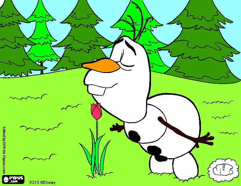 olaf do fronzen para colorir e imprimir